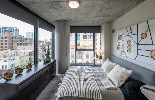 710 N La Salle Dr, photos photos