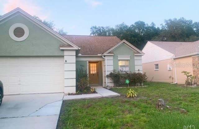 427 Chicago Woods Cir - 427 Chicago Woods Circle, Meadow Woods, FL 32824