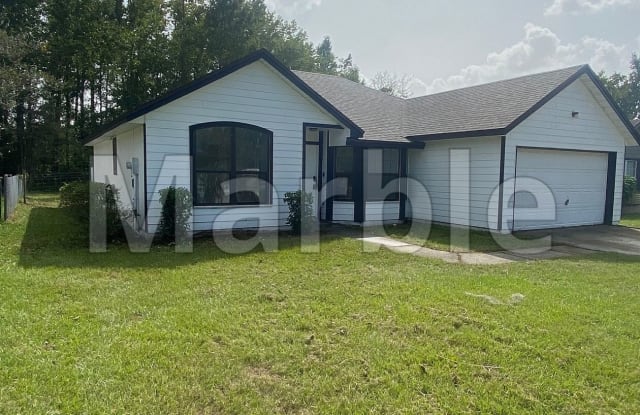 2333 Tigress Ln - 2333 Tigress Lane, Clay County, FL 32068