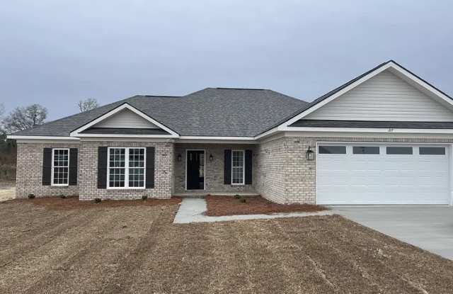 317 Old Rockdale Drive - 317 Old Rockdale Drive, Bulloch County, GA 30461