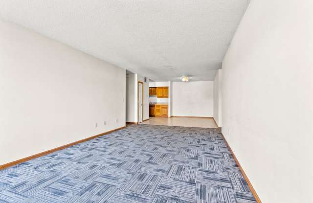 2609 Olive photos photos