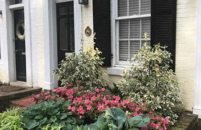 1658 Avon Pl NW Gallery 2