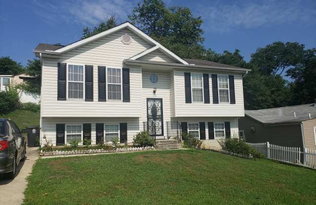 1009 LARCHMONT AVENUE - 1009 Larchmont Avenue, Coral Hills, MD 20743