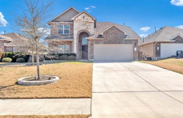 131 Desert Rose Dr, Kyle, TX 78640 photos photos