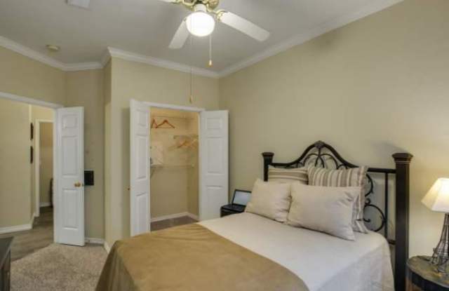 18232 Blanco Springs Gallery 4