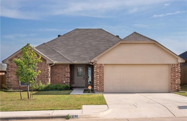 1230 Newcastle Drive - 1230 New Castle Drive, Weatherford, TX 76086