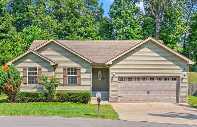 1314 Hand Drive Gallery 3