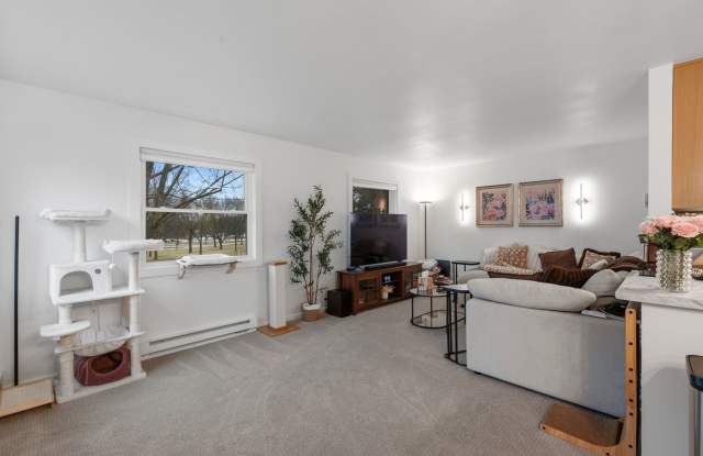 Honey Lane photos photos