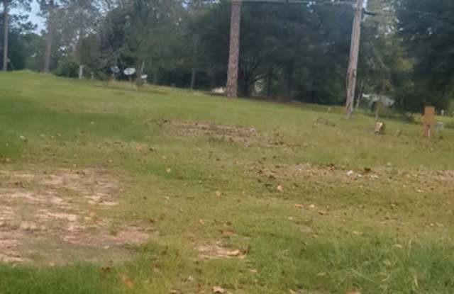 1001 Dunes Ave - 1001 Dunes Avenue, Albany, GA 31705