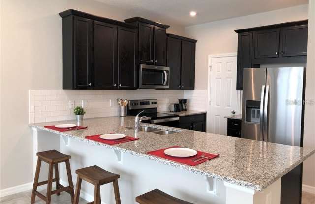 13285 GORGONA ISLE DRIVE - 13285 Gargona Isle Drive, Horizon West, FL 34787