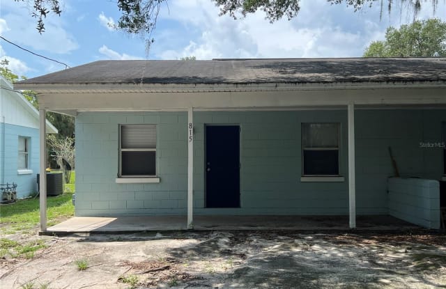 815 FLORIDA AVENUE - 815 Florida Avenue, Mount Dora, FL 32757