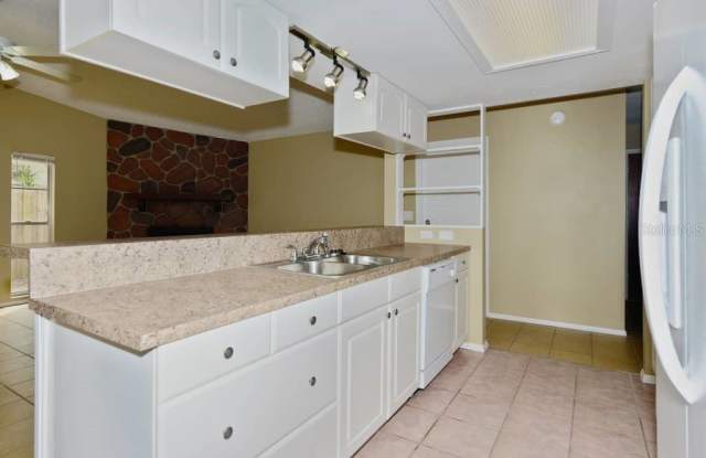 2325 ORANGEPOINTE AVENUE - 2325 Orangepointe Ave, Palm Harbor, FL 34683