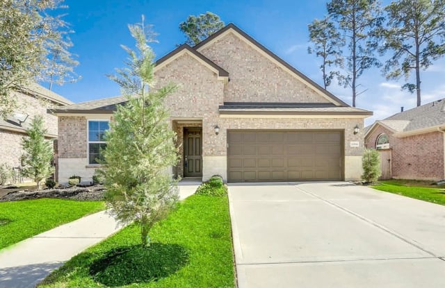 22614 Birch Ridge Meadow Drive - 22614 Birch Ridge Drive, Harris County, TX 77389