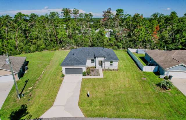New construction home for rent in Marion Oaks with oversized backyard! photos photos