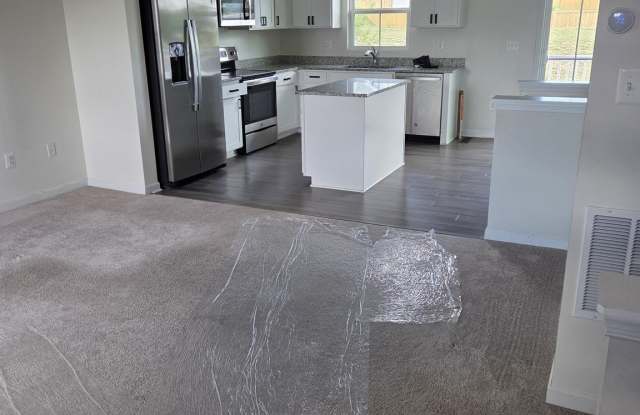 102 SPRING Place Gallery 4
