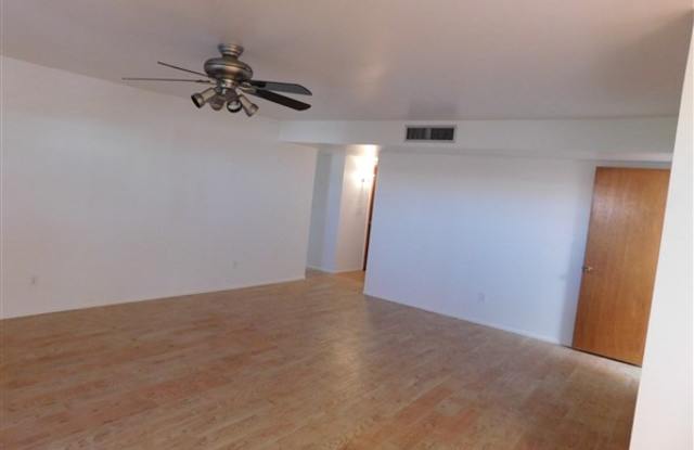 740 S. CALLE DEL SOL Gallery 3