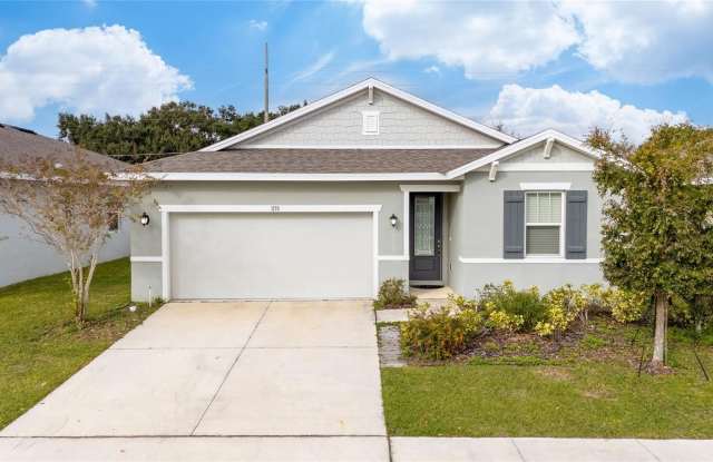 1133 MATTIE POINTE BOULEVARD - 1133 Mattie Pointe Blvd, Polk County, FL 33823