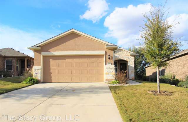 817 Salado Creek Lane - 817 Salado Creek Lane, Georgetown, TX 78633