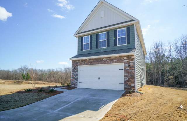 Almost New Home With 3 Bedroom 2.5 baths in Steel Creek Gallery 4