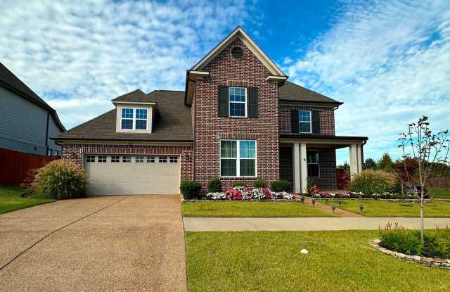 Arlington- 4 BR/ 3 BA with BREATHTAKING Outdoor space and Available NOW! photos photos