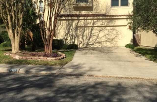2539 CHESTNUT BEND Gallery 2
