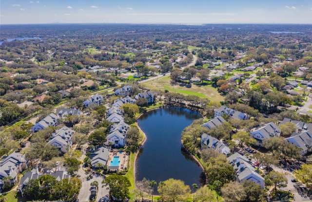 3270 HAVILAND COURT - 3270 Haviland Court, Palm Harbor, FL 34684