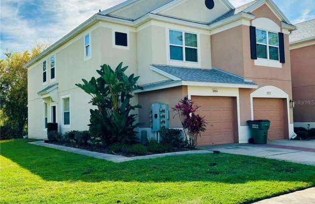 26554 CHIMNEY SPIRE LANE - 26554 Chimney Spire Lane, Wesley Chapel, FL 33544