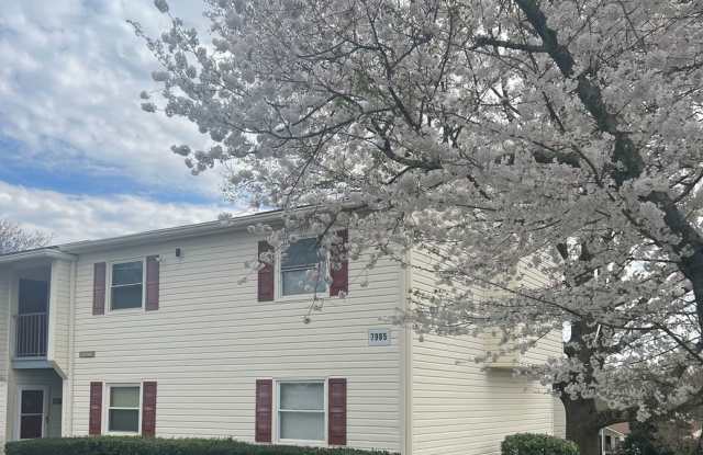 2 Bedroom/ 1 Bathroom $1150.00 photos photos