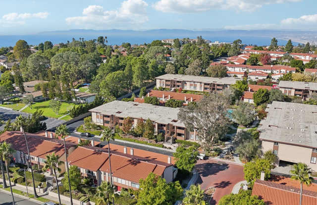 Upstairs Bright 2 bedroom Condo photos photos