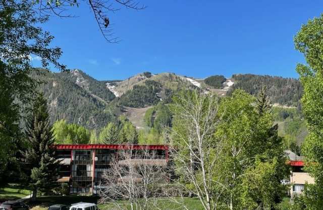 335 Vine Street unit: 335 photos photos