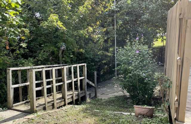 1005 Wild Ivy Trail Gallery 4