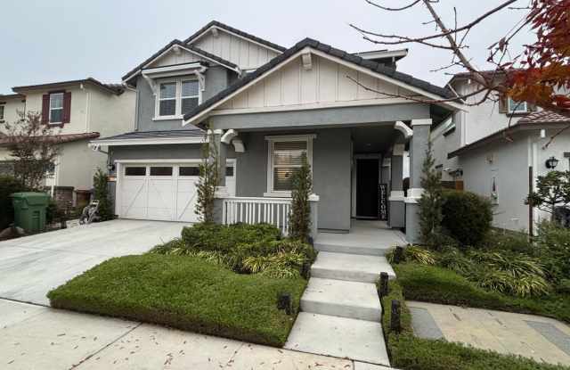Gorgeous New home with 4 bed/2.5 bath in Brentwood - 229 Elk Creek Drive, Brentwood, CA 94513