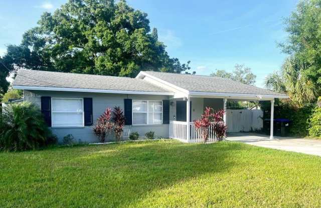 4803 ROUSH AVENUE - 4803 Roush Avenue, Orange County, FL 32803