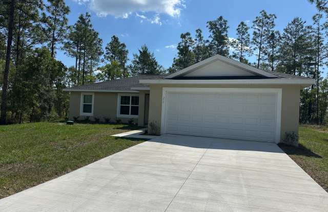 Silver Springs Shores photos photos