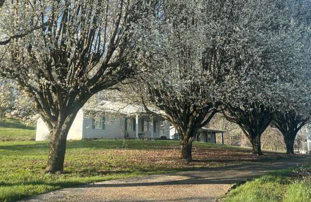 Beautiful Three Bedroom Home in London, KY photos photos