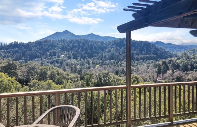 45 Laurel Grove - 45 Laurel Grove Ave, San Rafael, CA 94901