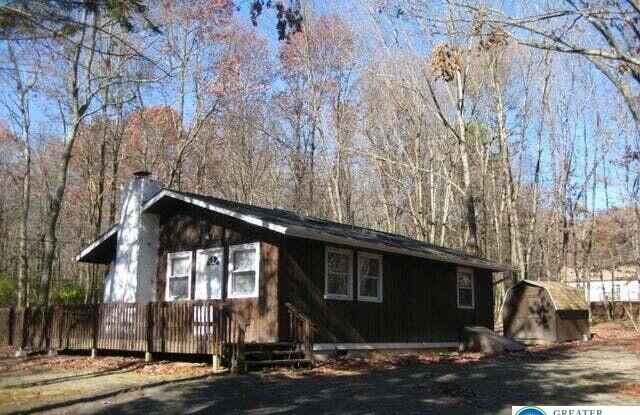 85 Hunter Lane - 85 Hunter Lane, Indian Mountain Lake, PA 18210