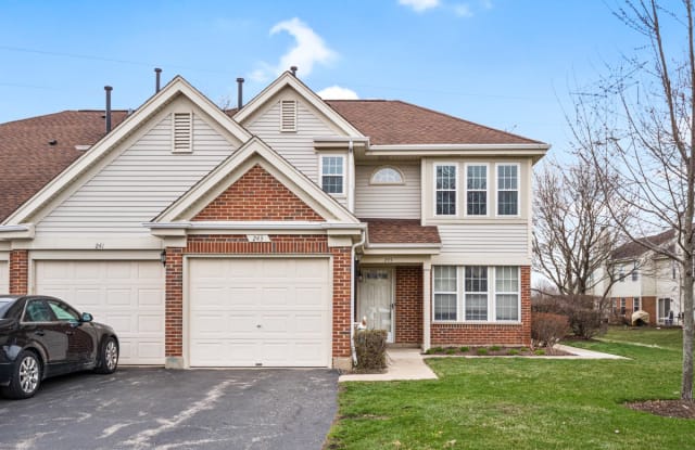 243 E Fabish Drive - 243 East Fabish Drive, Buffalo Grove, IL 60089