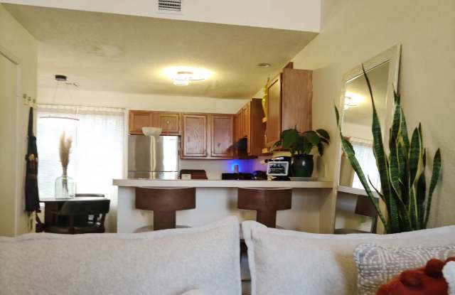 9812 River Birch Drive Gallery 2