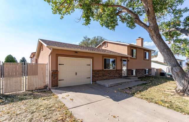 Fort Carson Beauty - 340 Walbrach Way photos photos