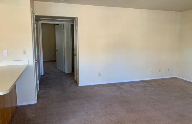 910 Mesquite Springs #101 Gallery 3