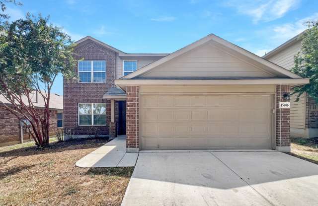 15106 Cinnamon Teal Gallery 2
