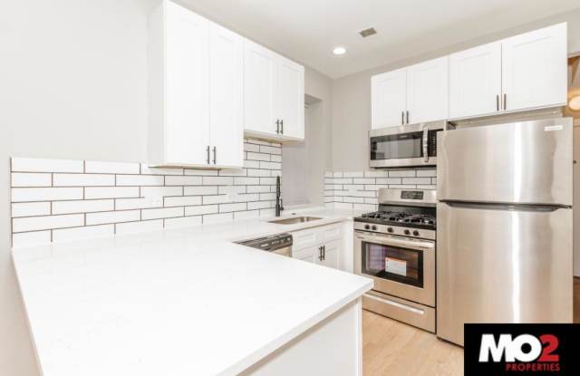 1649 North Paulina - 1649 North Paulina Street, Chicago, IL 60622