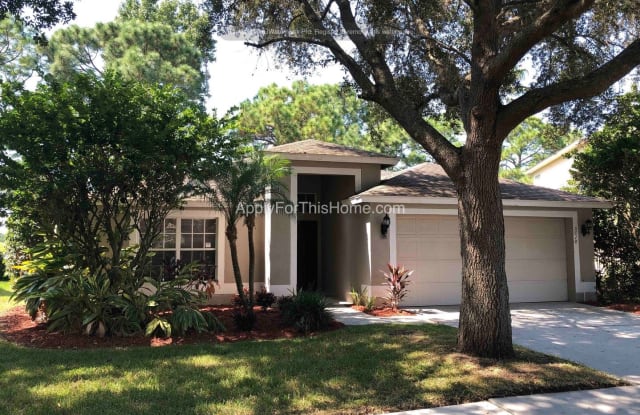 5610 Rockfield Loop - 5610 Rockfield Loop, Valrico, FL 33596