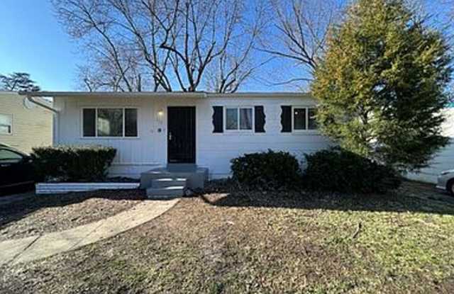 Welcome to 1128 Scott, a charming 3BD, 1BA house located in the heart of St. Louis, MO photos photos