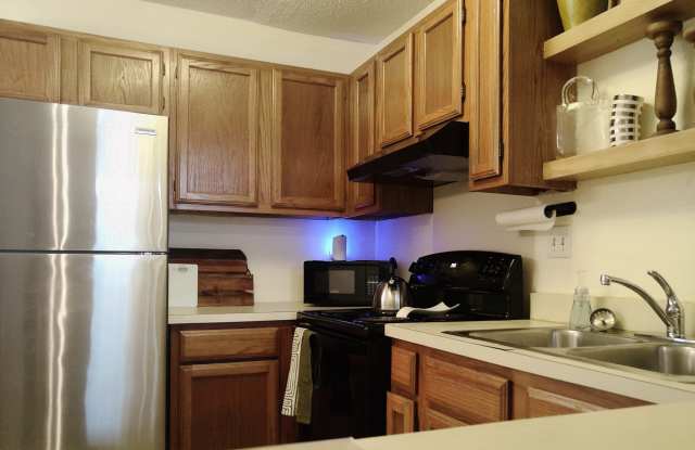 9812 River Birch Drive Gallery 3