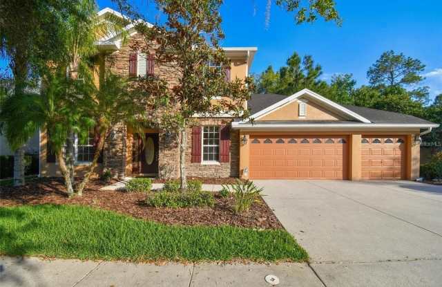 16143 COLCHESTER PALMS DRIVE photos photos