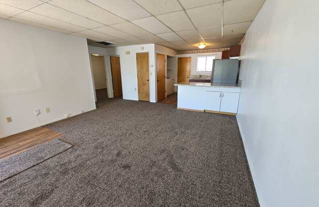 2 Bed 1 Bath Apartment in Historic Sparks Gallery 4