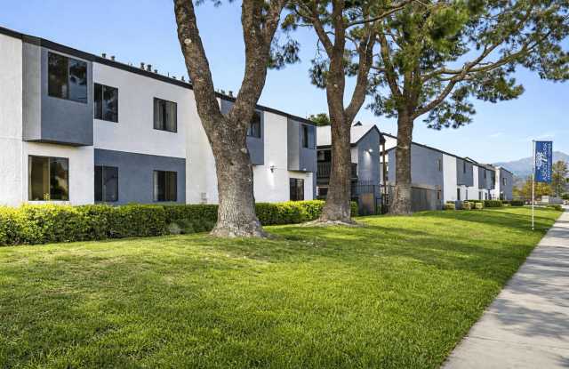 Ascot Park Apartments Gallery 2