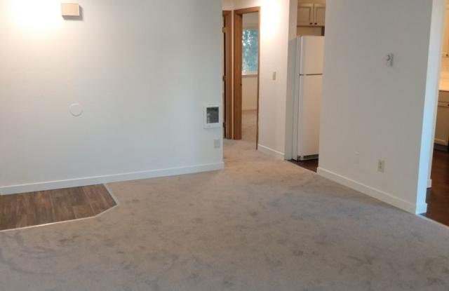South Hill Apartments Gallery 4